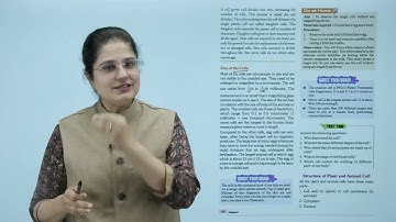 Knowledge Tree Books Science Class 8 Chapter 8