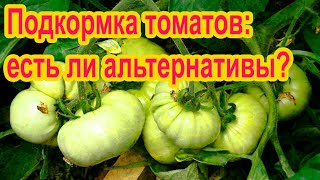 Чем подкормить томаты прямо сейчас?