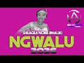 SHILAGELA NG WANA BHALIKI SONG NG WALU OFFICIAL AUDIO MUSIC BY ABELLY MACOMPYUTER TZ 