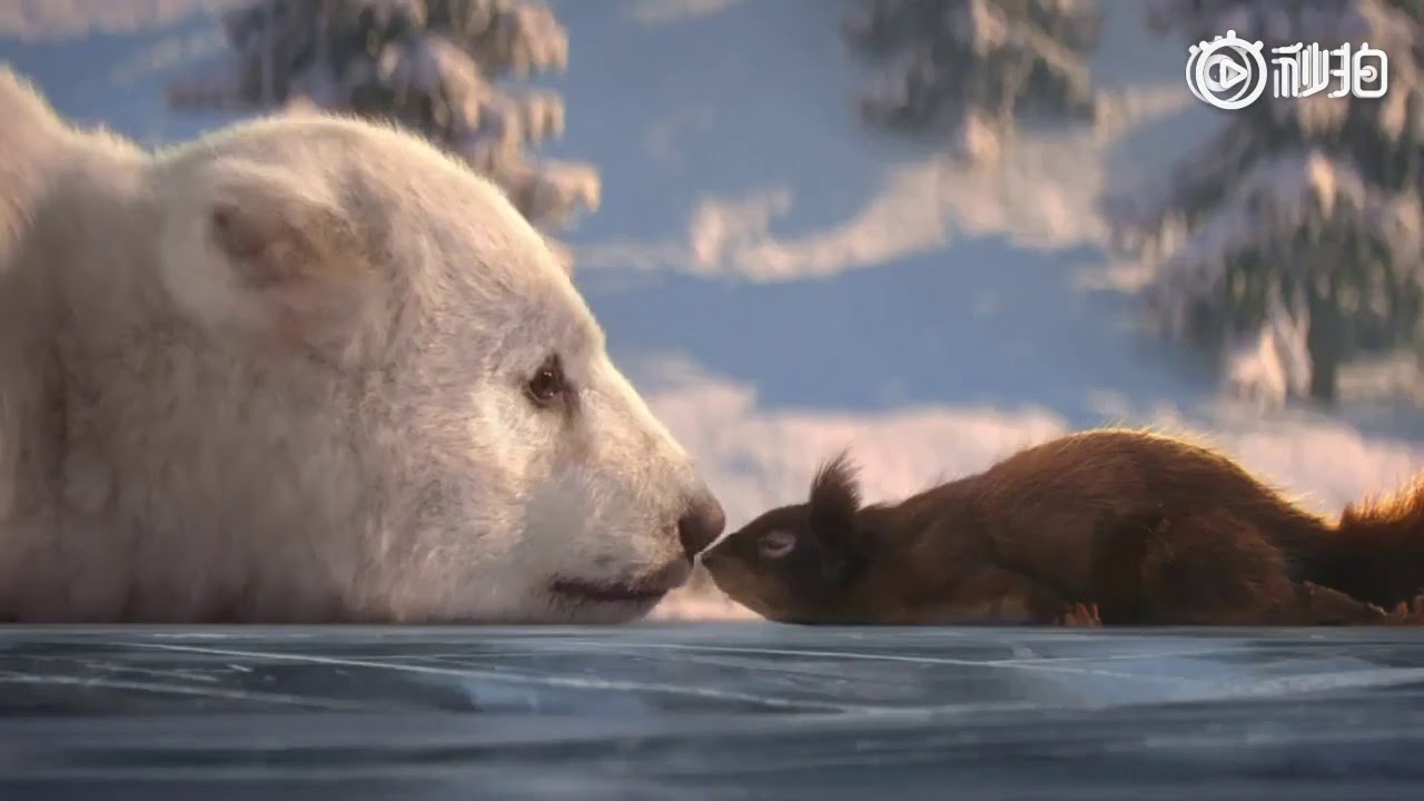 The story of polar bears and squirrels YouTube