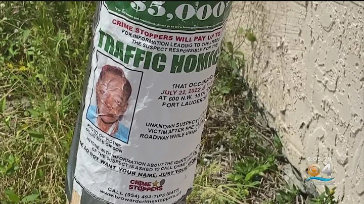 Elderly Woman Killed In Ft. Lauderdale Hit-And-Run...