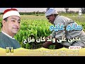 الشيخ سالم غنيم عجبي على ولد كان فى الحقيقه فلاح انتاج ابن الشيخ