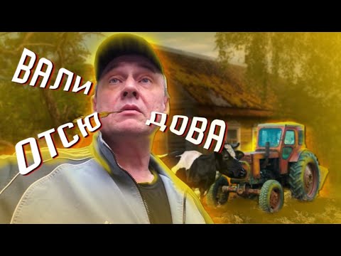 Ребята с нашего двора! 😡 (местный  нападает на активистов)