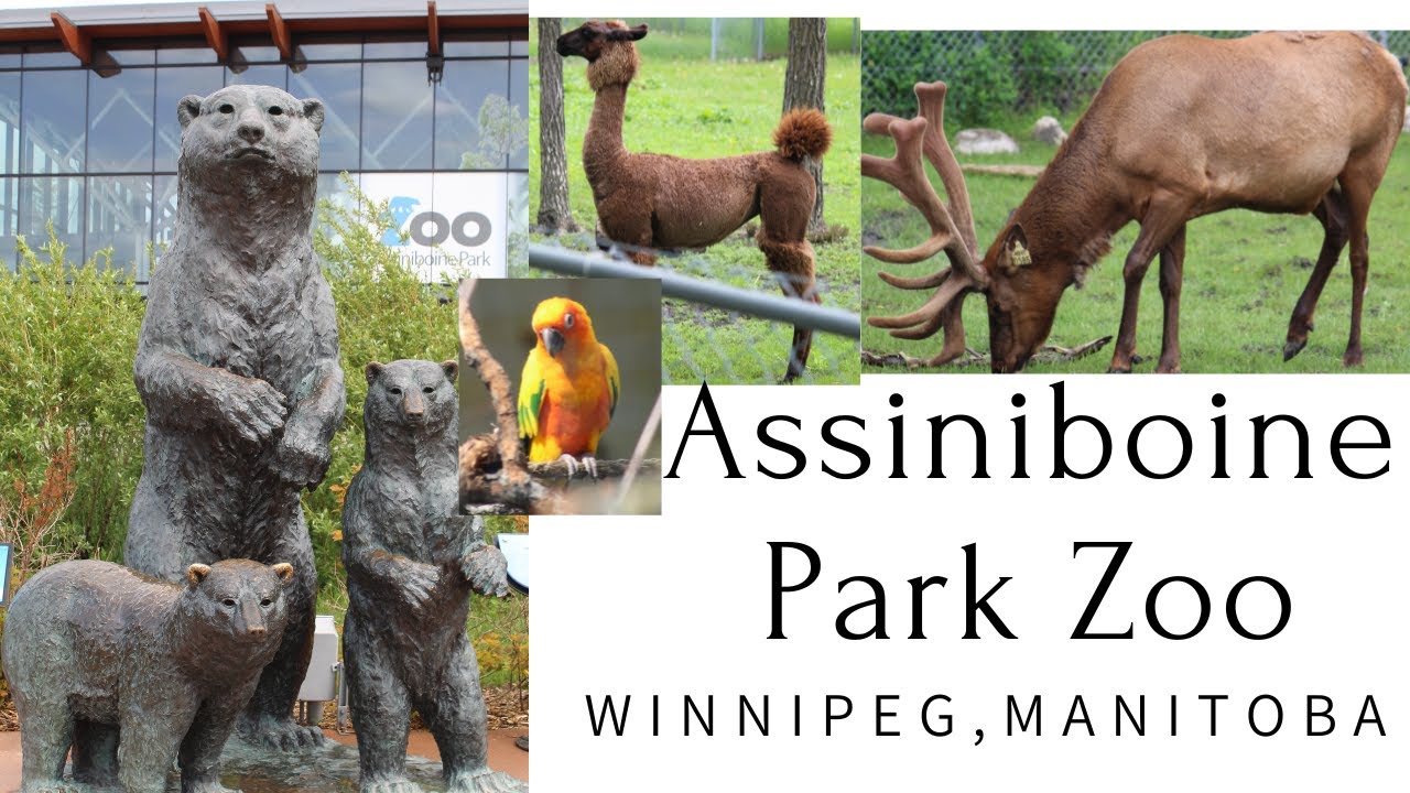 Assiniboine Park Zoo, Winnipeg, Manitoba, pictures of animals, birds by