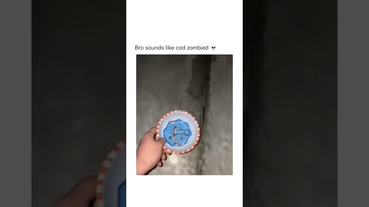 Bro Sounds Like Cod Zombie Not My Vid 
