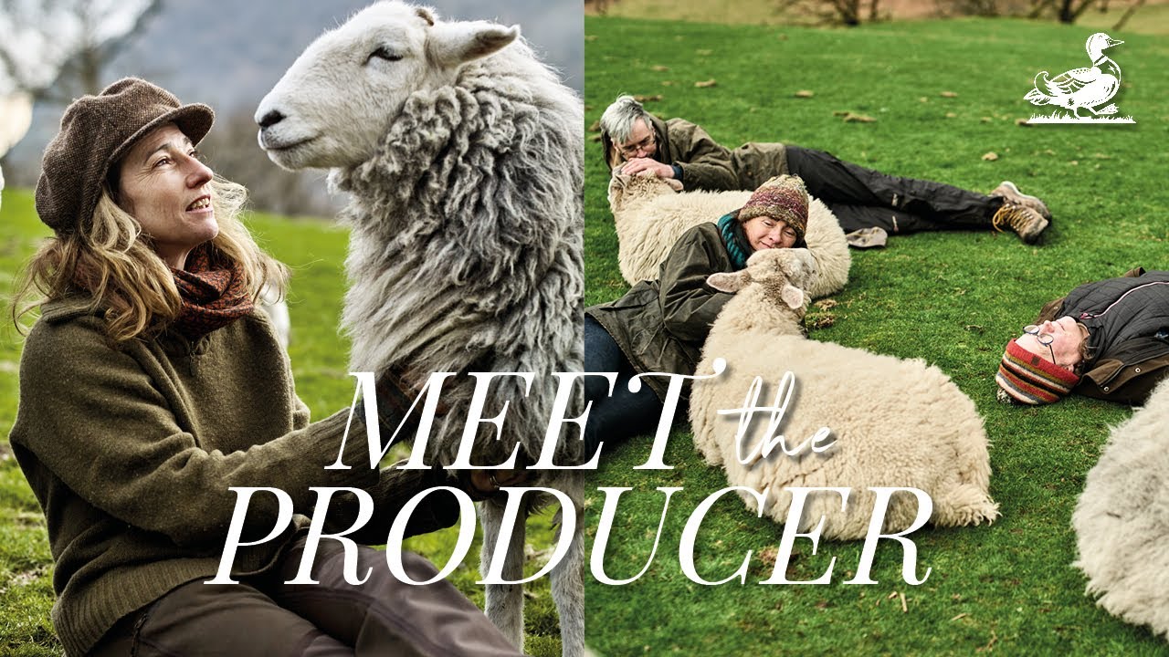 Познакомьтесь с овцами из Озёрного края, которые любят близко общаться с посетителями | Country L...