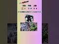 アニメ連想クイズ#アニメ#クイズ#暇つぶし#shorts