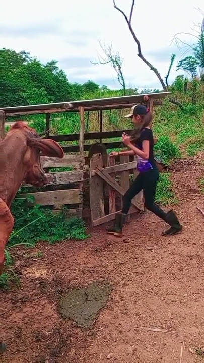 CORAÇÃO A MIL pro lançamento da minha nova música “MARIA BOIADEIRA” 🤠