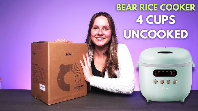 BEAR Rice Cooker DFB-B20K1 🎉