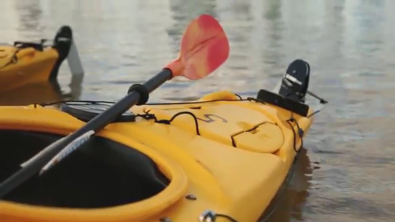Water Wanderers Memorable Kayak Tours Swan River, Perth WA YouTube