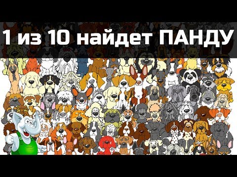 НАЙДИ ПАНДУ / ТЕСТ НА ВНИМАТЕЛЬНОСТЬ / 10 картинок