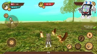 KATZEN SIMULATOR App deutsch | EICHHÖRNCHEN TÖTEN? Die Armen | Spiel mit mir Games screenshot 1