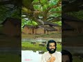 Dhanumasa katte vayo(Dileep. V) Mp3 Song
