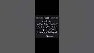 القارئ عبدالعزيز سعيد. تلاوه خاشعه. قرآن كريم #تلاوة_هادئة #قران_كريم #اكسبلور #راحة