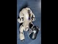AIBO ERS-7 Startup and Commands