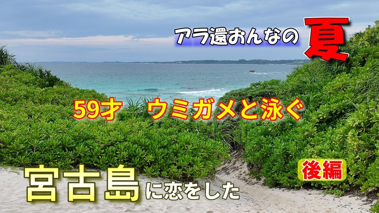 南の楽園【宮古島】おばちゃんウミガメと泳ぐ　宮古ブルー最高！