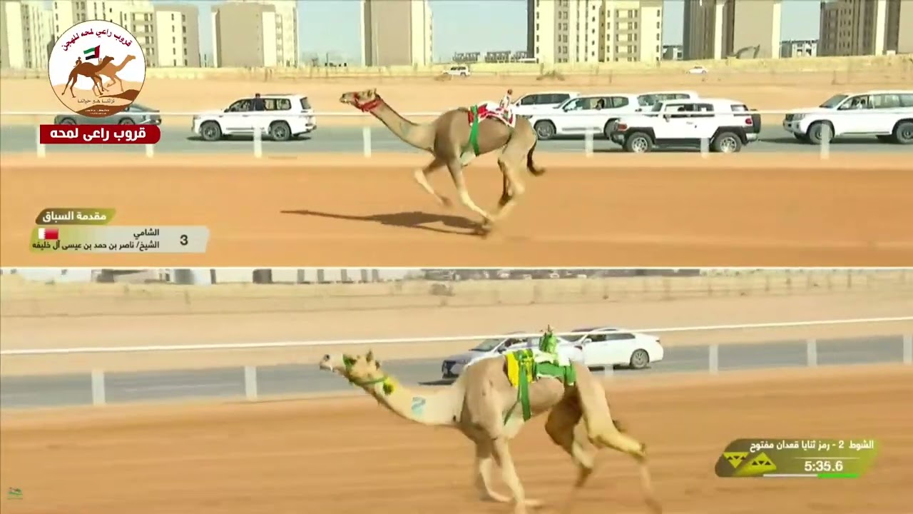 الشوط 2 ( كأس الثنايا المفتوح )  مليح لـ هجن الرئاسة 12:33:61( مهرجان خادم الحرمين الشريفين 2026 )