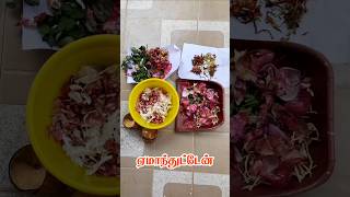 #redsoilgarden Story:Kitchen scrap to garden gold! #semmanthottam #shortsfeed 🔥Trending