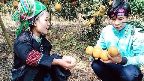 hát Nùng em gái nùng  hài hước năm mới 2021 hài nùng chúc các bạn năm mới an khang thịnh vượng