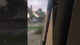 گرموں کی ہلکی ہلکی ٹھنڈی صبح میں سفر #railway #railtrack #automobile #orangelinetrainlahore #train