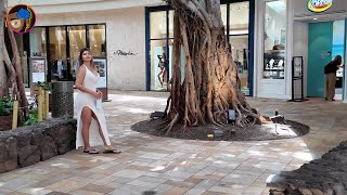 Waikiki Walking Tour - International Market Place to Royal Hawaiian - May 4th, 2024