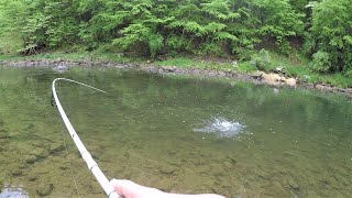 RIVER FISHING for Trout, Bass & Sunfish