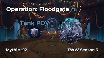 Operation: Floodgate +12 | Guardian Druid Tank POV | WoW M+
