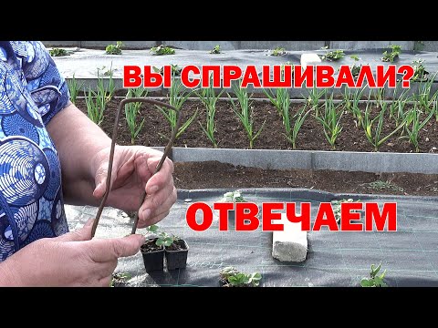 Петля фокина своими руками