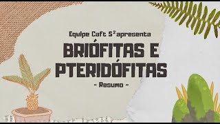Introdução a botânica: Briófitas e Pteridófitas | Em menos de 6 minutos