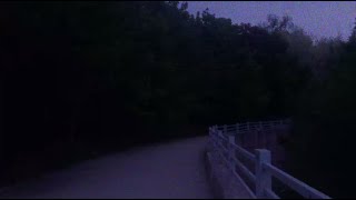 Download Lagu i hope i will be happy // traumacore playlist MP3