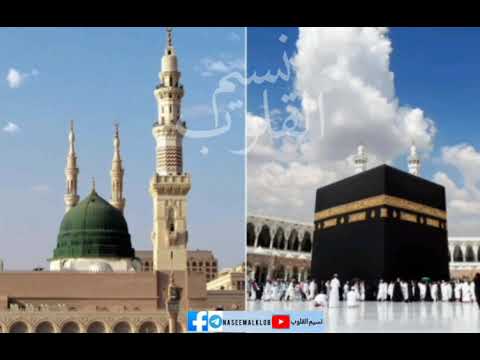 يا قاصد الحرمين المنشد فادي الحلو