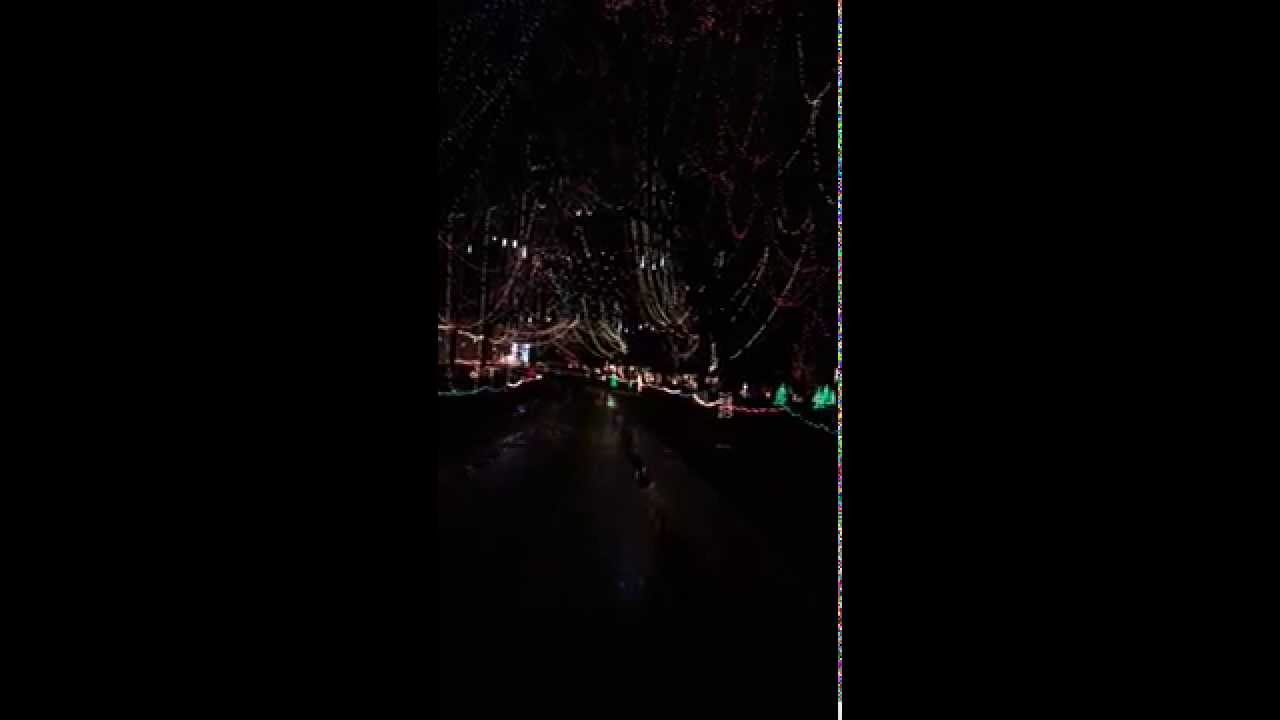 christmas lights in tilles park st louis mo youtube tillis park christmas lights