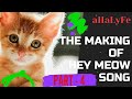 Part 4  making of hey meow song  ahalyfe