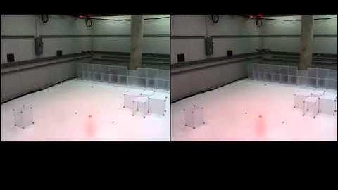 Swing-free Maneuvers of a Quadrotor with Suspended Payload