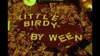 Ween - Little Birdy (Music Video)