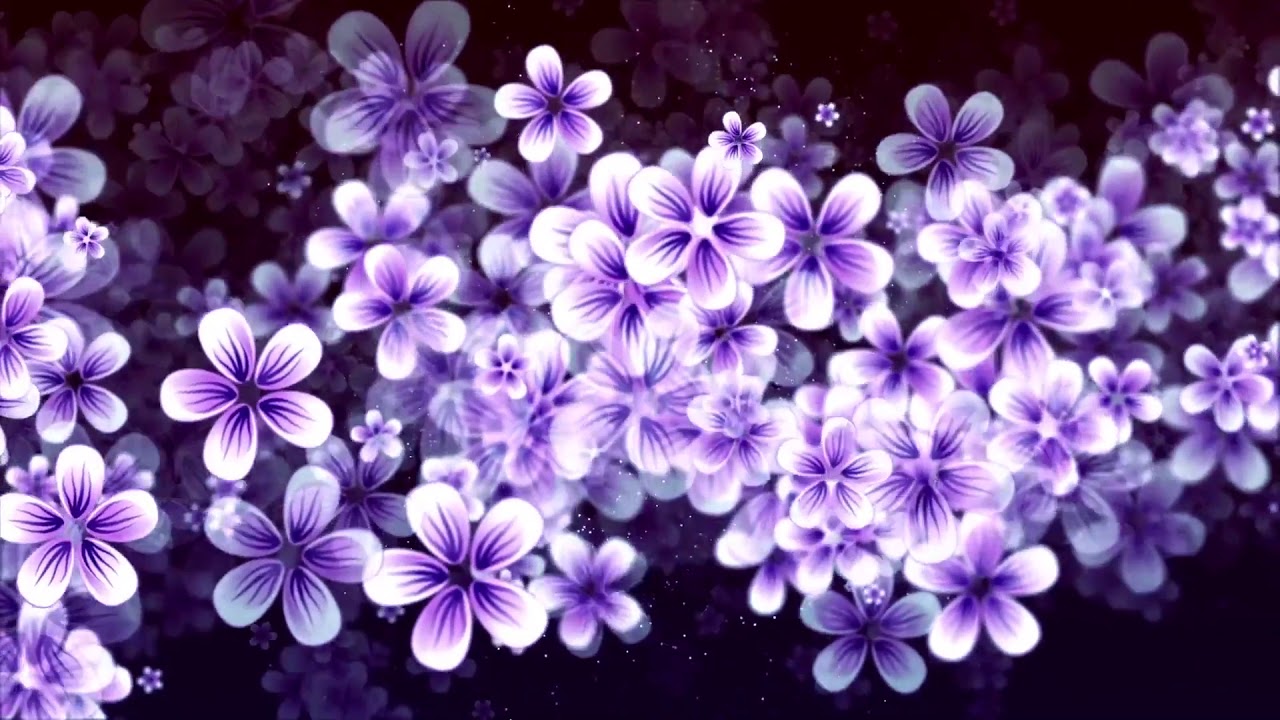 PURPLE FLOWERS animation HD 1080P YouTube