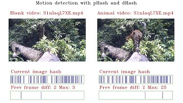 DrivenData: Pri-matrix Factorization