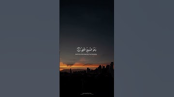 تلاوة من سورة العنكبوت 🤍👑| القارئ عبدالرحمن مسعد🌿| #تلاوة_خاشعة #قرآن #quraan #surah #عبدالرحمن_مسعد