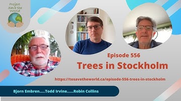 Episode 556 Trees in Stockholm