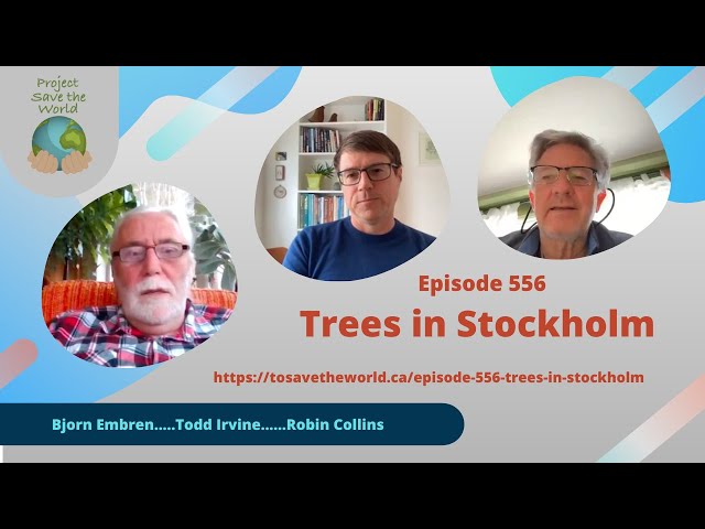 Episode 556 Trees in Stockholm