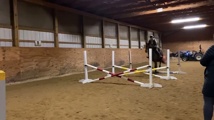 Horse jumping