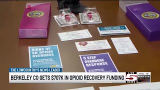 VIDEO: Berkeley County receives $707K in opioid recovery funding for 9 organizations