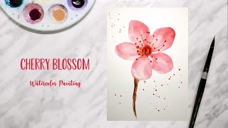 CHERRY BLOSSOM Watercolor | How to paint cherry blossom | step by step tutorial (real time video) Profile