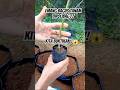 Wow..Terong Sambung Takokak versi Polibag anti Gagal