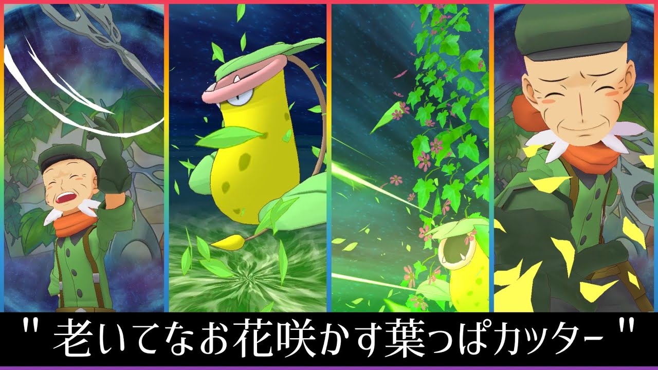 ポケマスex フクジ ウツボット バディーズ技 必殺技 老いてなお花咲かす葉っぱカッター Xyジムリーダー戦bgm Youtube
