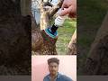 எப்படில்லாம் யோசிக்கிறாங்க 🤔#cultivationking #technology #trendingshorts 💥