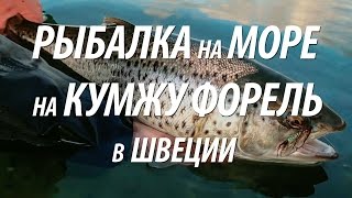 КУМЖА НА СПИННИНГ С БЕРЕГА. РЫБАЛКА В ШВЕЦИИ НА МОРЕ(Кумжа на спиннинг морская ловля с берега на рыбалке в Швеции. Советы рыбаков, применяемые снасти, приманки..., 2016-07-27T06:00:00.000Z)