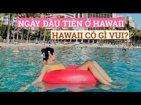 Video: Làm gì ở Hawaii