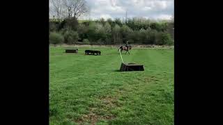 Ad ref 276157 Video 1