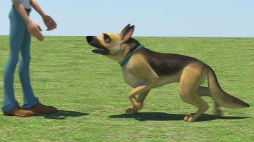 iAnimate WS2 Quadruped Assignment